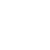 customizable build