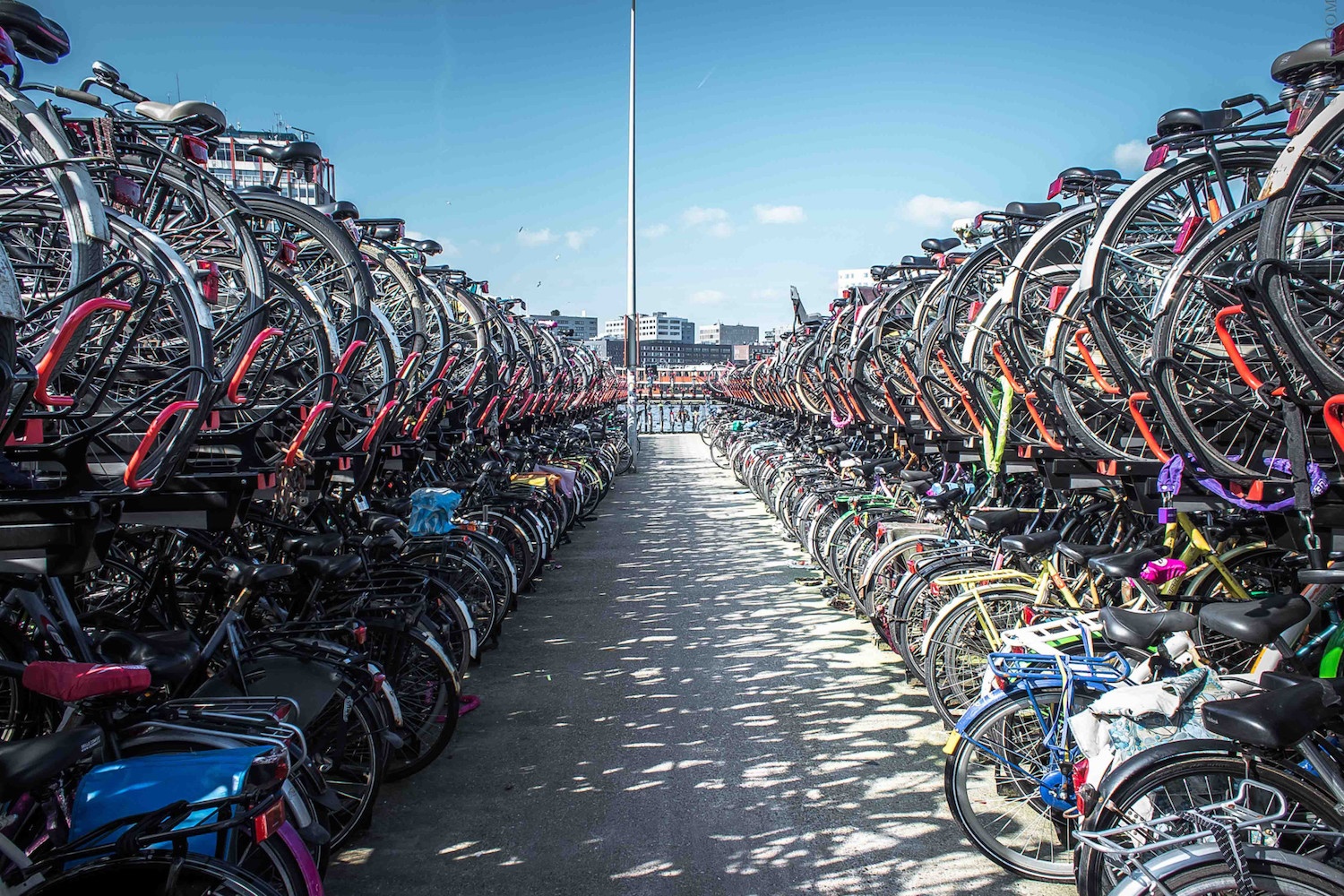 amsterdam-central-bike-station_t20_b8enak