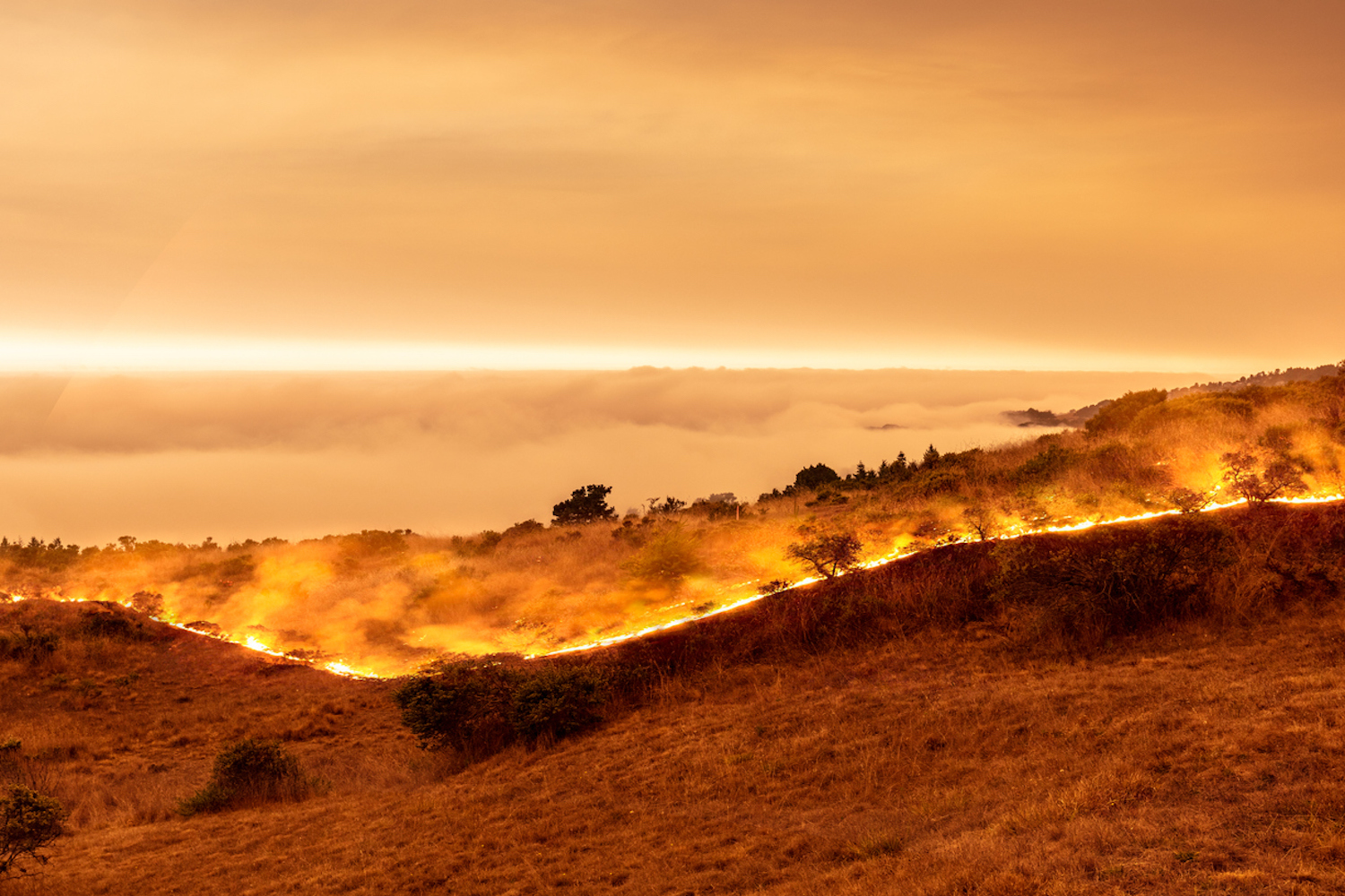 California-Wildfires-2020