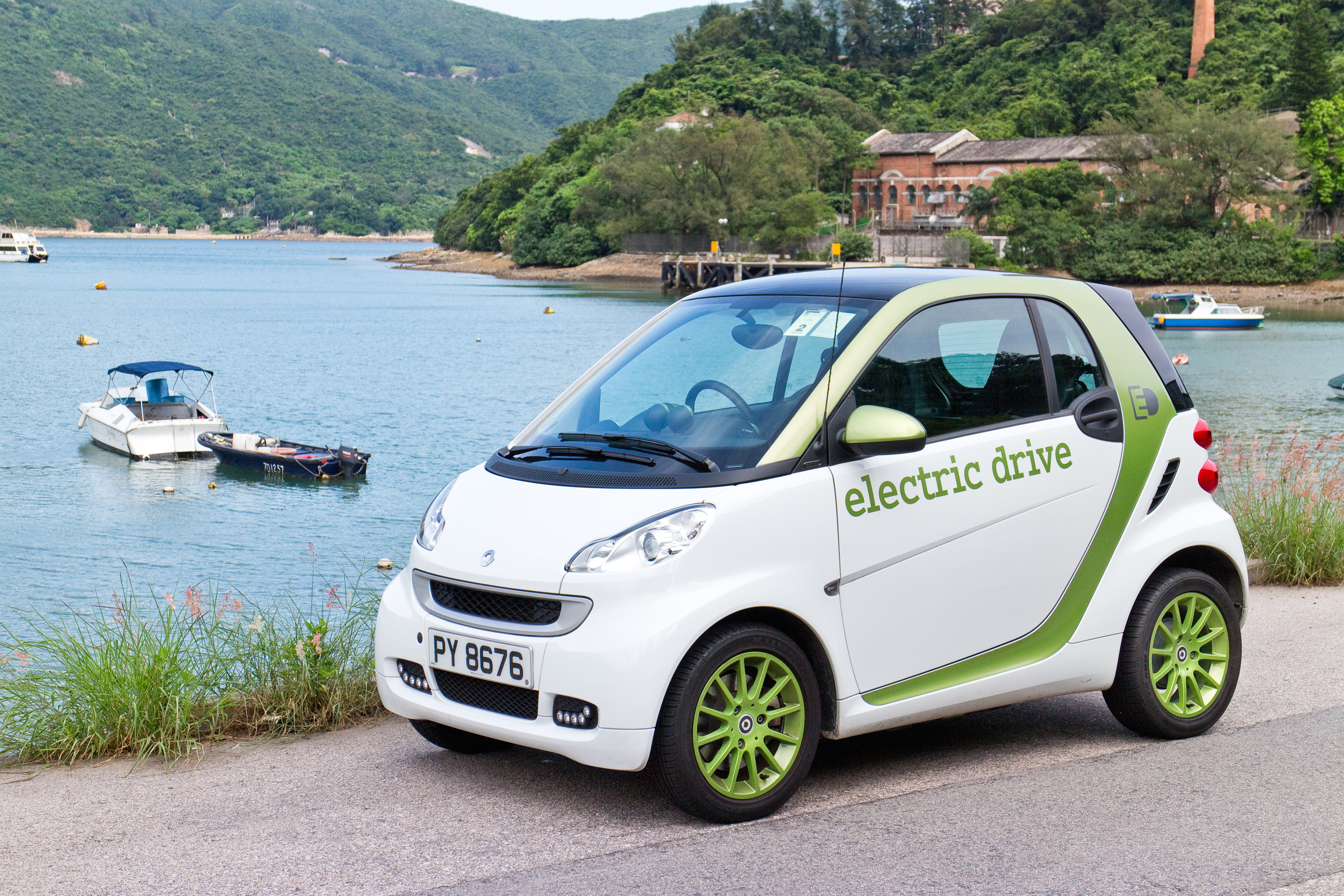 World Electric Vehicle Day 2020
