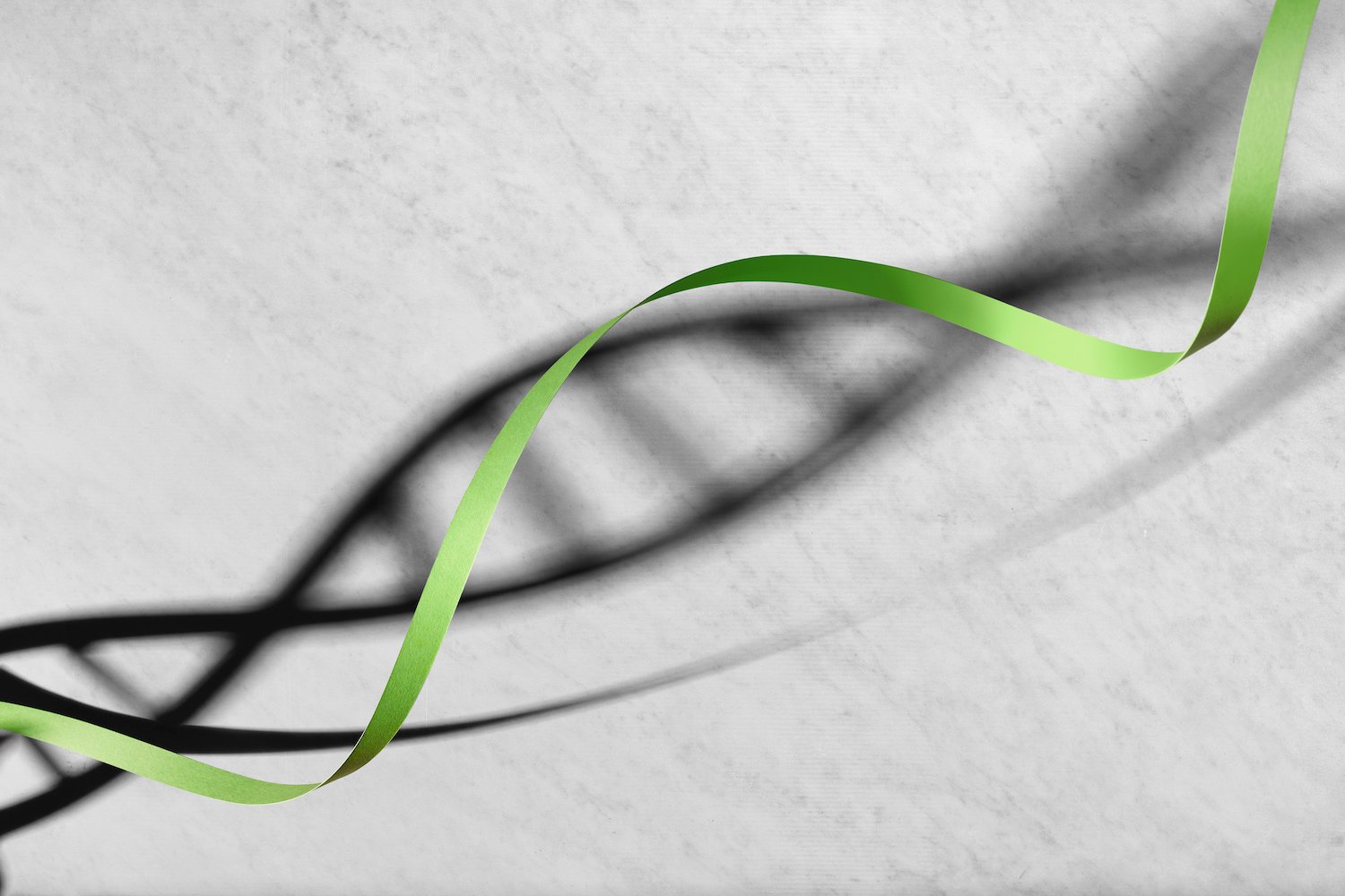 Haelixa-Ribbon