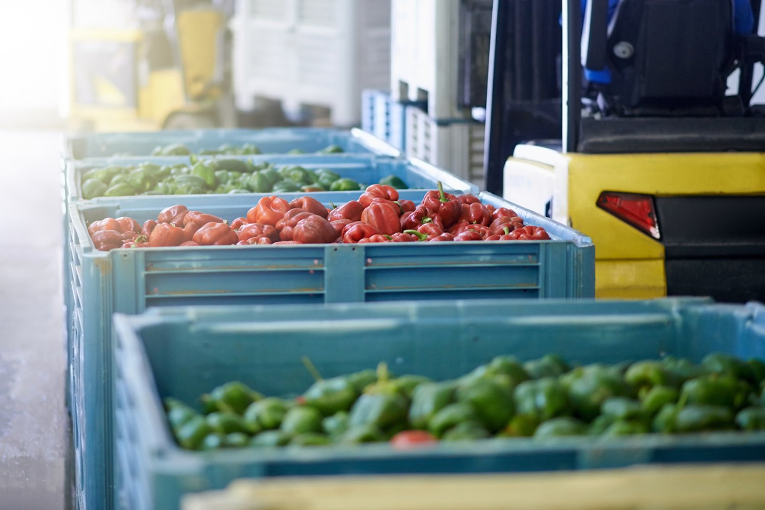 Food wholesalers delivery new arrivals