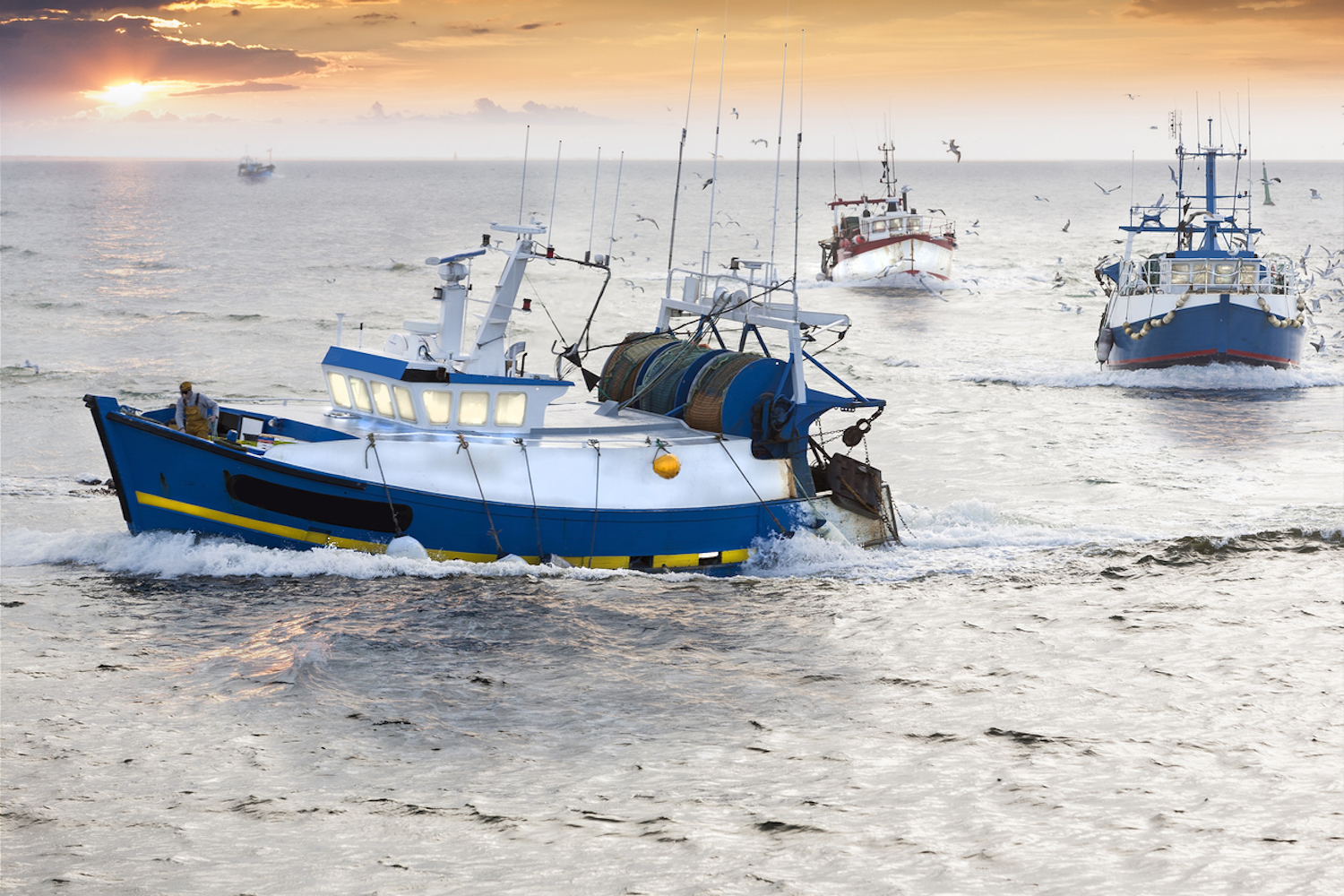 Seafood-Fishing-Supply-Chain-Boats