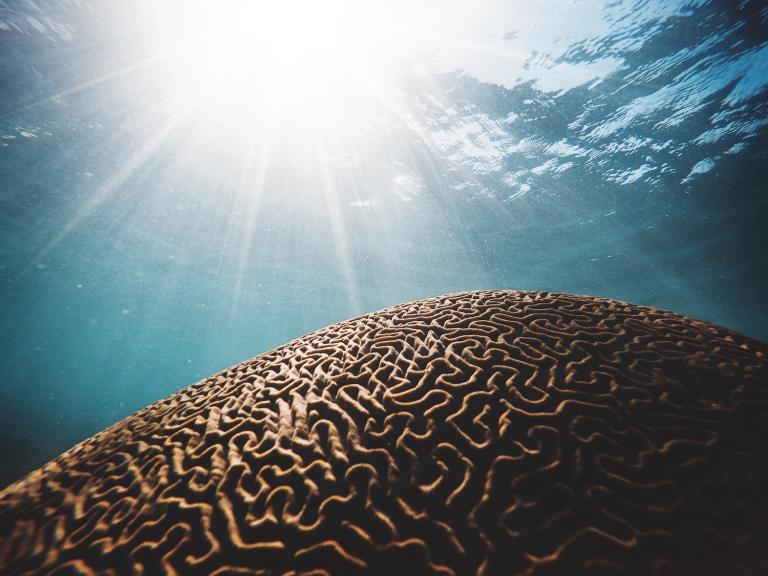Mapping the depths: it’s time to get to know our ocean