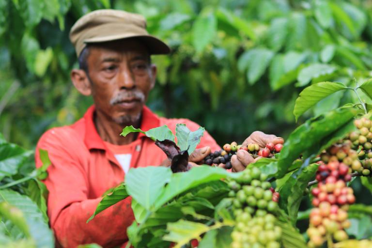 Give up coffee for COVID? Only if we can't repair the supply chain