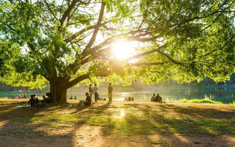 Trees and green spaces make us happier