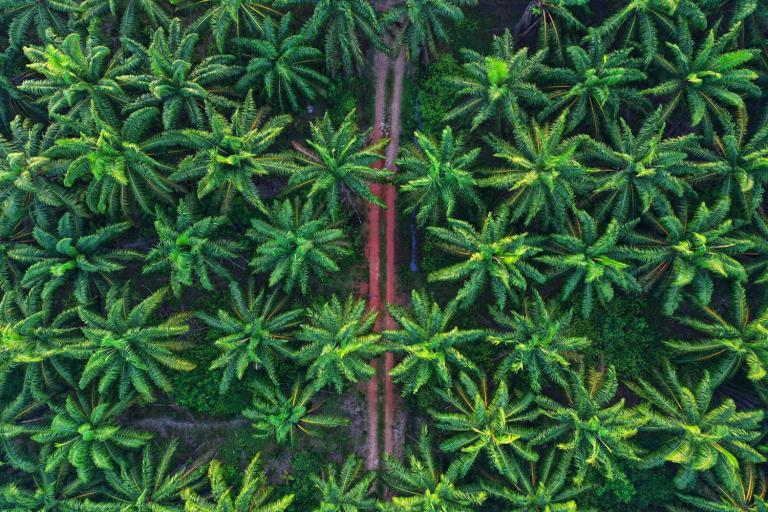Could geolocation technology help make supply chains more traceable?