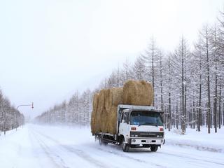 車両管理(フリートマネジメント)システムで雪でもトラックなどの運行状況を管理